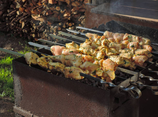istock grilled chicken poultry kebab 953955628