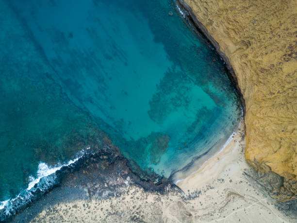 istock aerial view of deserted beach and reef 953956446