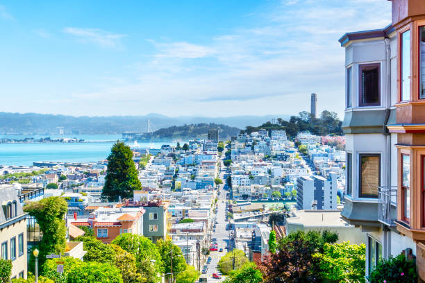 High Angle View of San Francisco Skyline High-angle view of San Francisco skyline at Lombard Street toward San Francisco Bay in downtown North Beach community showing Fisherman's Wharf and Coit Tower. san francisco bay stock pictures, royalty-free photos & images