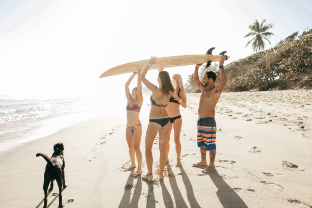 istock Making the most of the sunny weather 953957280