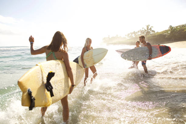 istock Good weather to surf 953957316