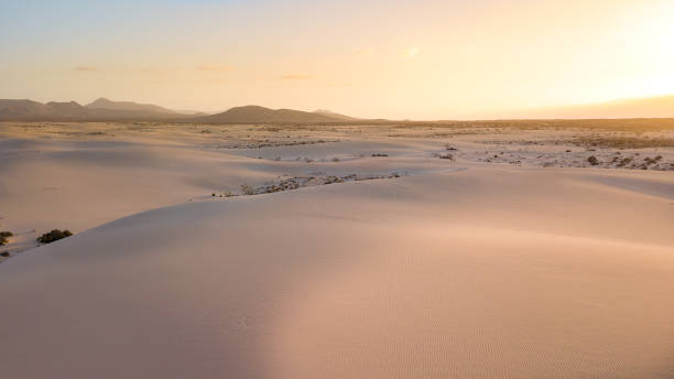 istock aerial view of desert with dunes 953961894