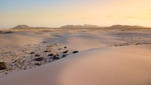 istock aerial view of desert with dunes 953963450