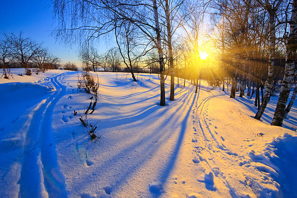 晴れた冬の風景 - rural scene russia ski track footpath ストックフォトと画像