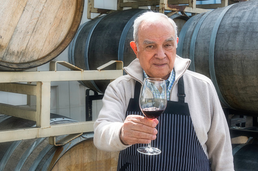 senior hispanic man posing holding a glass of wine at his vineyard