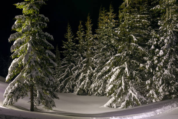 Idyllic snowy winter scene.