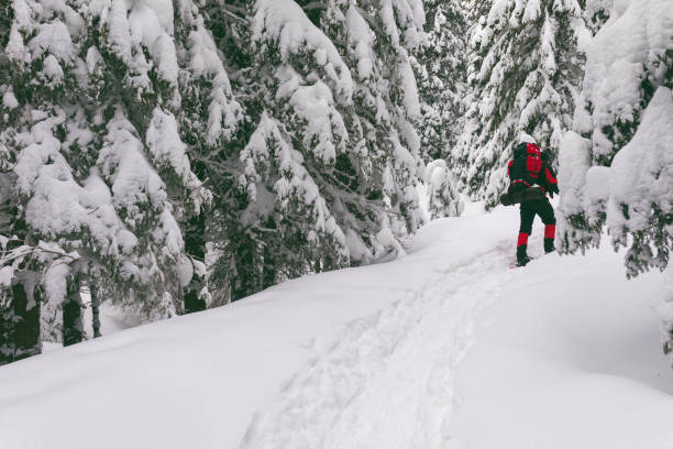 istock Lonely backpacker in the snowy winter forest 953989118