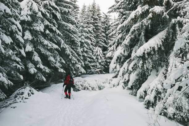 istock A traveler overcomes the natural barrier 953989156