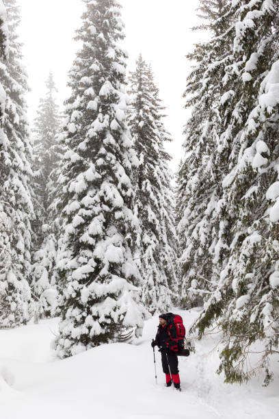 istock A tourist on the way to the winter forest 953989220