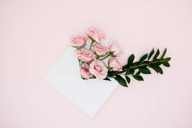 Envelope with roses Flat lay of envelope with real pink roses pink envelope stock pictures, royalty-free photos & images