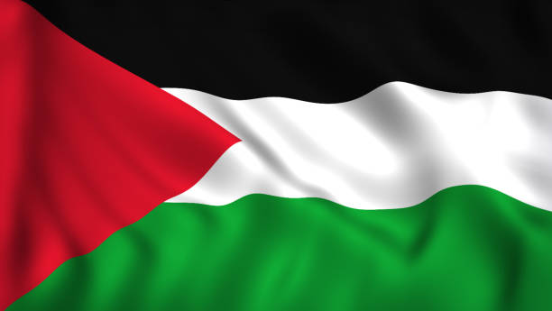 istock Palestine flag waving symbol 953995504