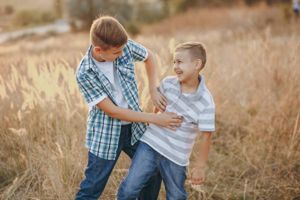 istock brothers having fun in a field 954008688