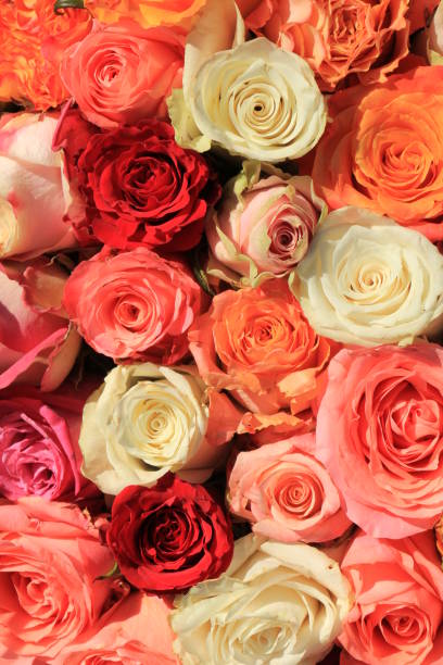 istock Mixed pink and orange bridal bouquet 954012300