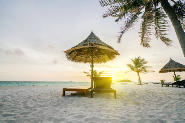 istock Beach bed with sunrise flare in the morning time. 954012878