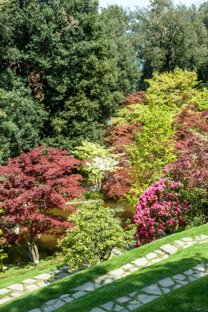 istock botanic garden with green and red trees 954016500