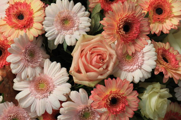 istock Pink Orange roses and gerbers 954016626