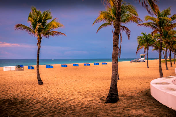 istock The Atlantic Ocean beachfront, Fort Lauderdale, Florida 954016802