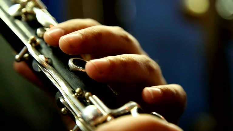 Descarga videos de stock de Clarinete gratis en 4K y HD 46 clips Descarga videos de stock de Clarinete gratis en 4K y HD 46 clips