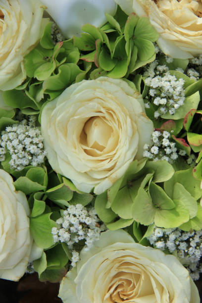 istock Hydrangea and roses bridal bouquet 954017692