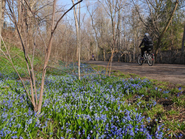 istock rail to trail cycling and jogging path 954018126