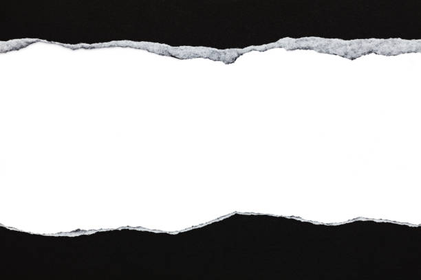 istock Black ripped paper and white background with space for text. 954018634