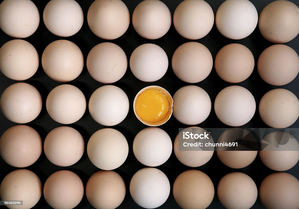 Eggs  Animal Egg Stock Photo