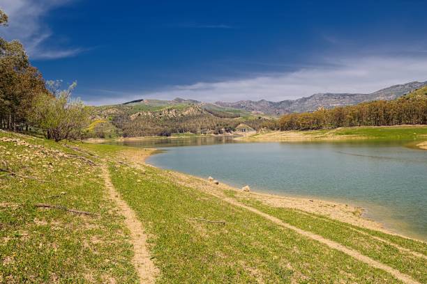 istock Lake of Pozzillo (Sicily) 954023574