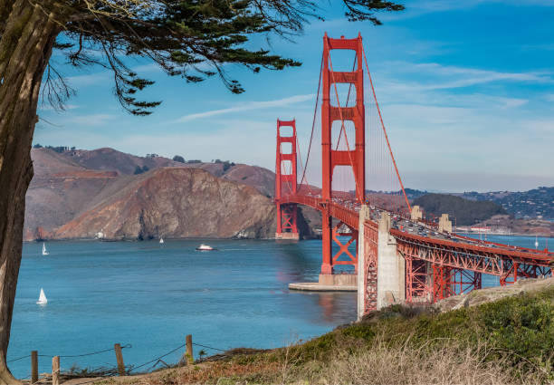 istock View of the Golden Gate bridgeon a sunny day 954027714