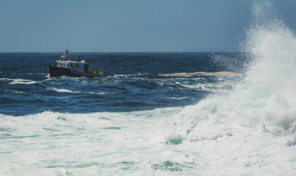 istock Hauling Lobster Traps 954031250