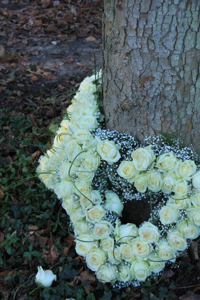istock Sympathy flowers near a tree 954033812