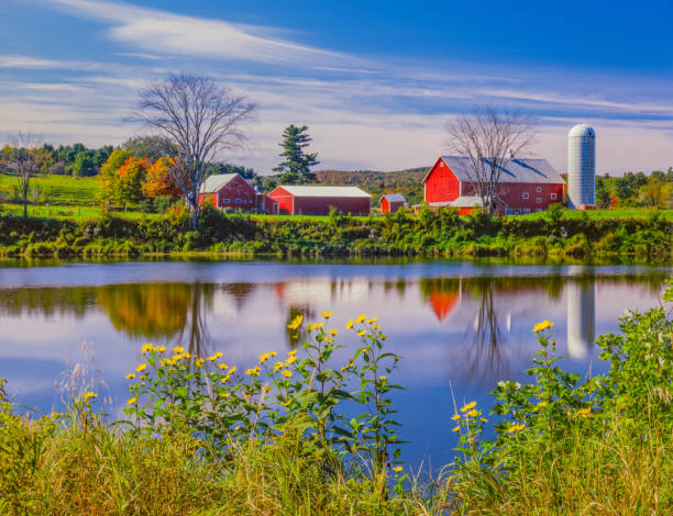 rústico celeiro vermelho no outono, nas colinas das montanhas verdes, vermont - landscape new england cloud sky - fotografias e filmes do acervo