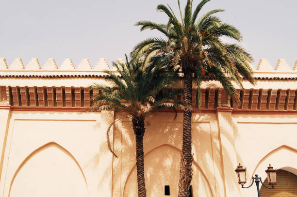 istock Wall with classic moroccan decoration and palm trees 954046992