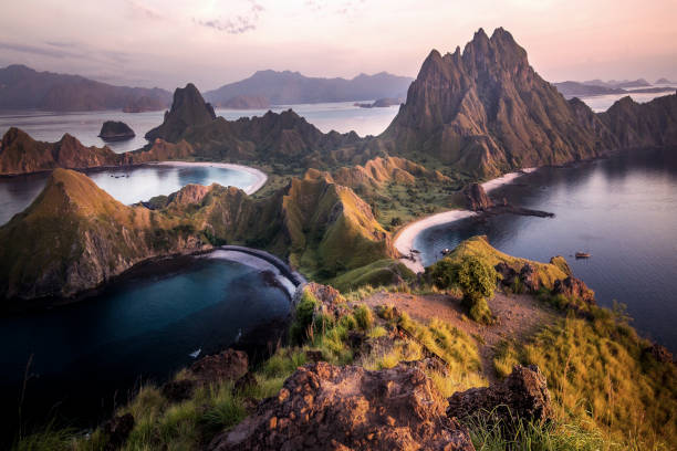 île de padar, parc national de komodo, indonésie - indonésien photos et images de collection