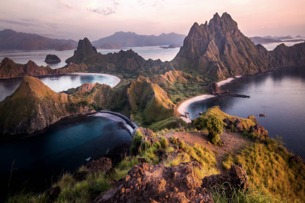 isola padar, parco nazionale di komodo, indonesia - indonesia foto e immagini stock
