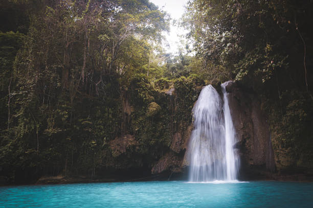 istock Kawasan Falls, Cebu, Phillipines 954050470