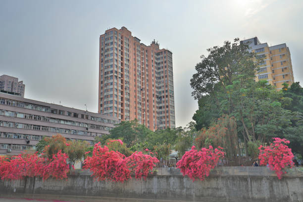 istock a Shan Pui  river Yuen Long in Hong Kong 954050596