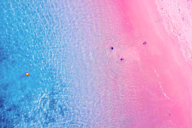 pink beach komodo national park
