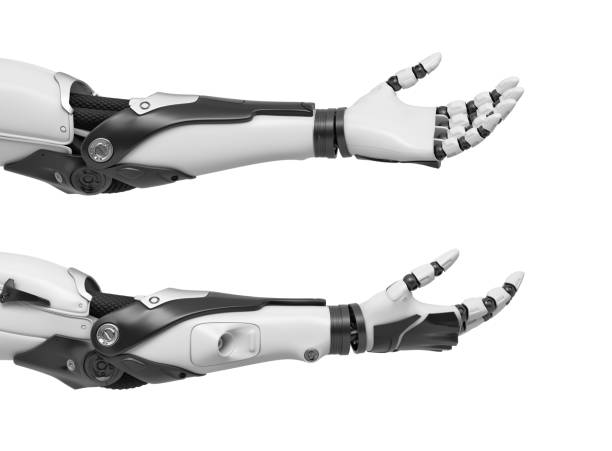 3d rendering of set of two black and white robotic hands with palms open and fingers relaxed and sticking out 3d rendering of set of two black and white robotic hands with palms open and fingers relaxed and sticking out. Robotics and machinery. High tech solutions. Android hands. robotic arm stock pictures, royalty-free photos & images