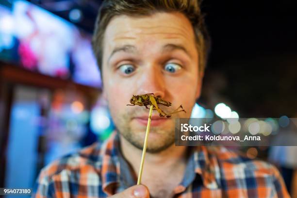 Caucasian Young Male Eating Cricket At Night Market In Thailand Stock Photo - Download Image Now