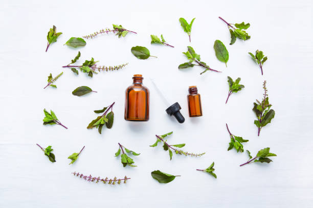 istock Holy Basil Essential Oil in a Glass Bottle with Fresh Holy Basil on white background. 954077260