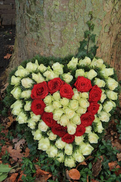 istock Red and white sympathy flowers near a tree 954078020