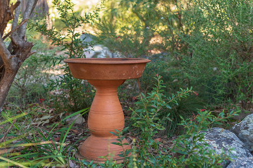 Terracotta bird bath in Australian native garden (selective focus)