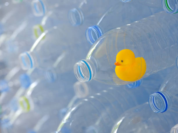 istock Yellow rubber duck trapped inside an empty plastic drinking water bottle among a stack of many other plastic purified drinking water bottles kept for recycling, against a blue background. 954078916