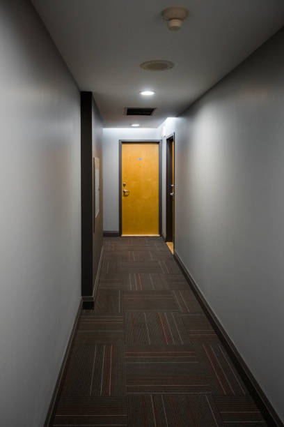 istock Hallway with closed doors 954079350