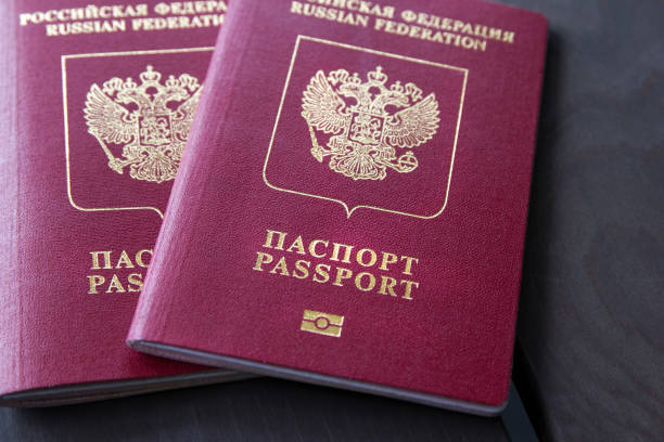 istock Two Russian Passports on grey wooden table. Closeup 954083100
