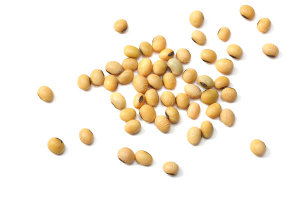 istock Soybeans isolated on white background. top view 954083134