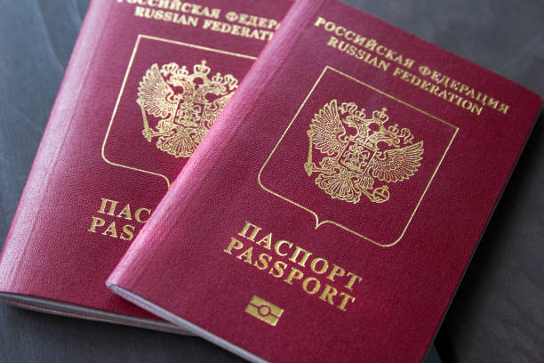 istock Two passports on a dark background, closeup 954083192
