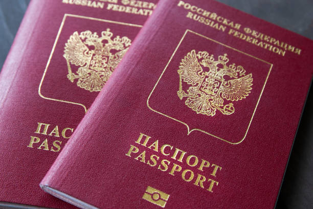 Two passports on a grey neutral background, closeup