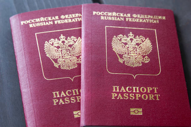 istock Two passports on a dark background, closeup 954083484