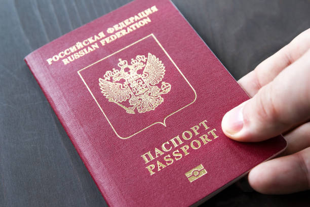 istock Male hand on a red passport on a gray background 954083734